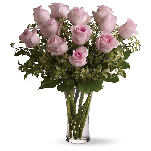 Dozen Pink Roses