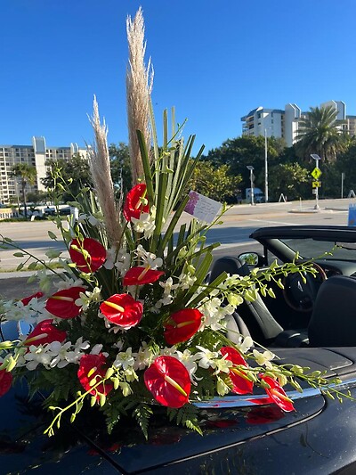 tropicasus anthuriums