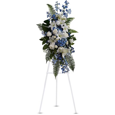 Ocean Breeze Spray by Teleflora