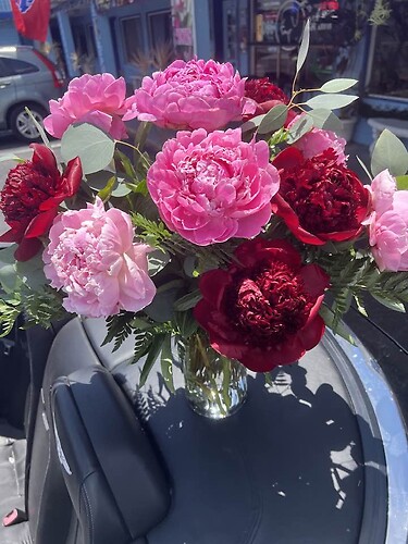 peonies in love