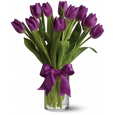 Passionate Purple Tulips