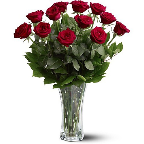 A Dozen Long Stem Red Roses