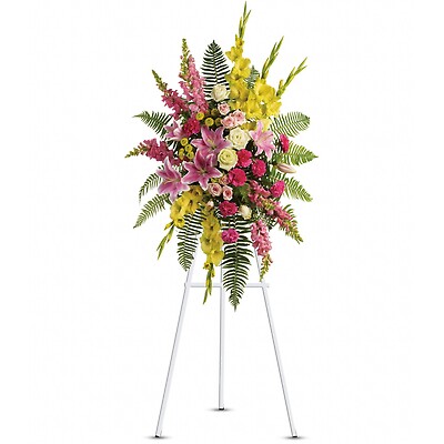 Rays of Light Spray by Teleflora