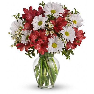 Dancing in Daisies by Teleflora