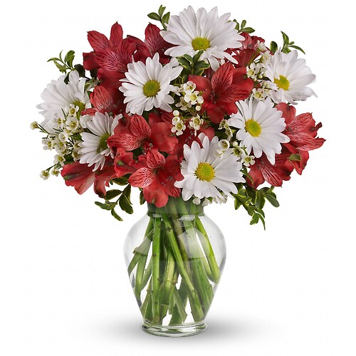 Dancing in Daisies by Teleflora