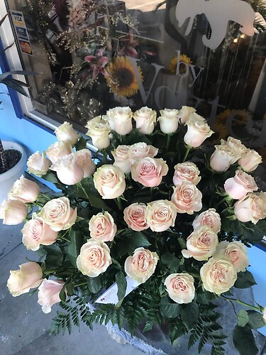 30 cream roses