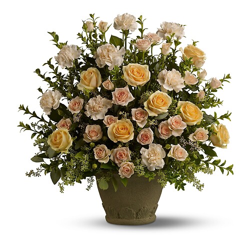 Teleflora&#039;s Rose Remembrance