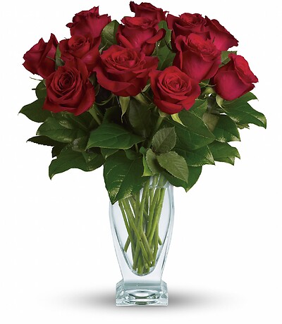 Rose Classique - Dozen Red Roses