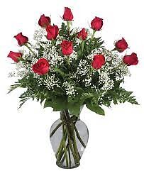 DOZEN long stem red roses with baby&#039;s breath-BEST SELLER-