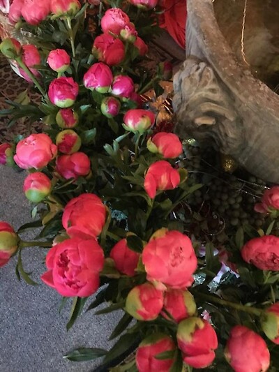 peonies fever