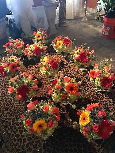 gerberas &amp;amp; hydrangeas