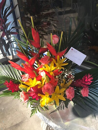exotiks