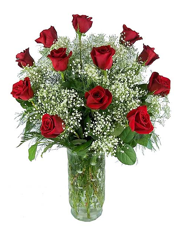 rosa ,amore mio with baby&#039;s breath