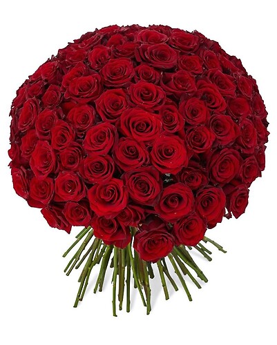 101 red roses special and best value