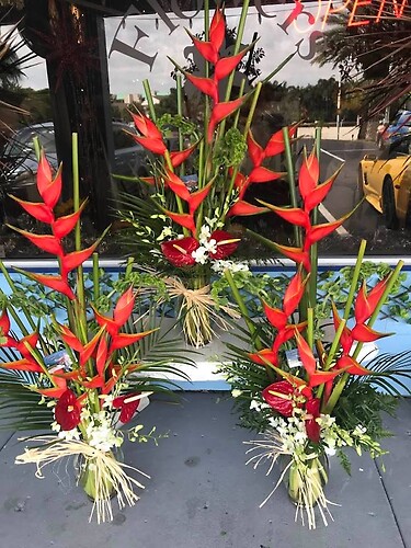 ginger&amp;anthuriums