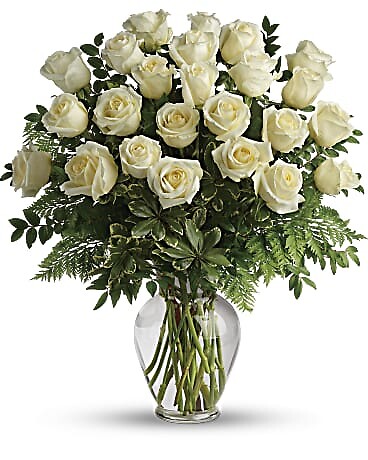 white nights - two dozen of garden roses