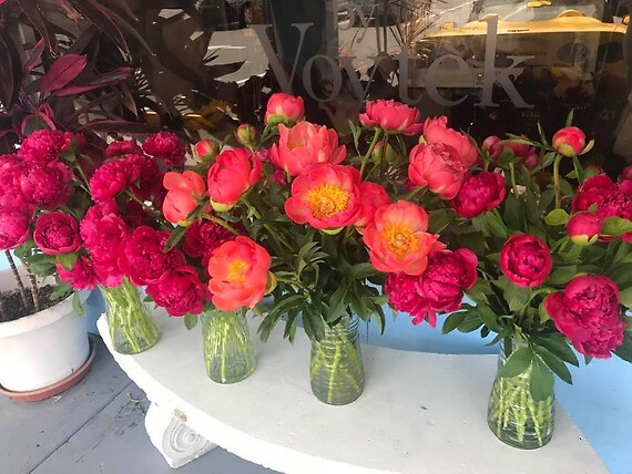 vase of peonies