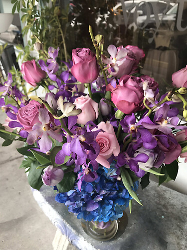 roses,orchids &amp;amp; hydrangeas
