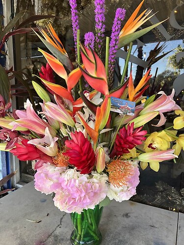 tropicale