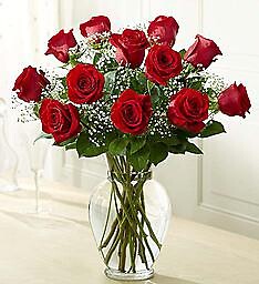 dozen medium stems red lipstick roses