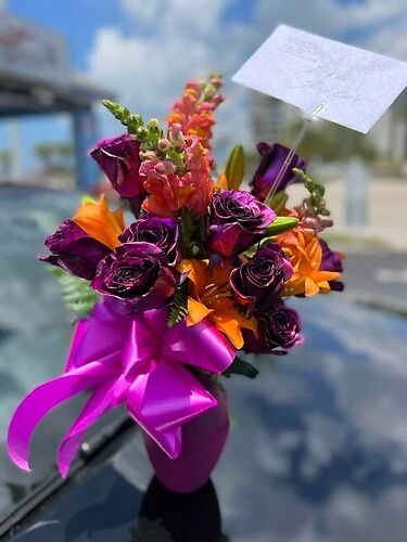 orange &amp; purple