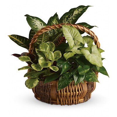 Emerald Garden Basket