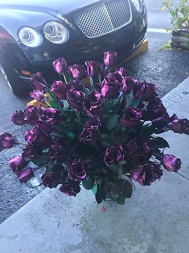 50 metallic purple roses